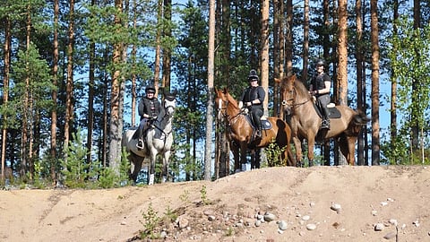 Niinisalon kuulut mäntymetsät ja hiekkakankaat vetävät puoleensa. 