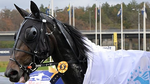 Ravit Ruotsi