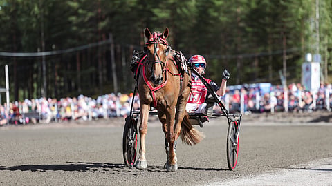 Hallitseva kuningatar Jockas Rita voitti Teivon kuningatarkilpailun avausmatkan.