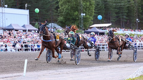 Kuninkuuskilpailun marssijärjestys oli selvä, Pro, Vänrikki ja Evartti.