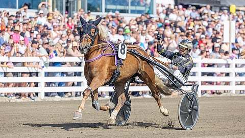Retostella voitti vuosi sitten Oulun Kuninkuusraveissa ajetun Pikkuprinsessan.