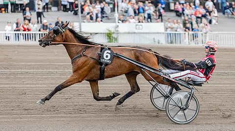 Ancio ja Santtu Raitala
