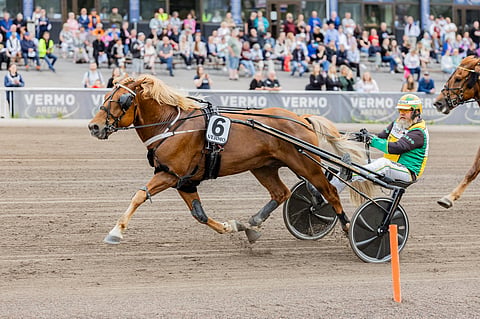 Vilkkeen Villi ja Teemu Okkolin