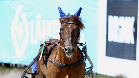 Evartti Kuninkuusravit 2026