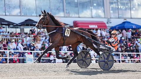 Tommi Kylliäinen on ohjastanut Diamond Truppon kaikki startit Hanna Lepistön valmennuksesta.