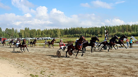 Joutsassa vietetään paikallisen hevosystäväinseuran 120-vuotisjuhlavuotta. Joutsassa juostaan paikallisravit lauantaina 5.9.