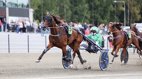Ari Moilanen tuuletti lauantaina Killerillä BWT Jackpotin voittoa Kasvattajakruunussa.