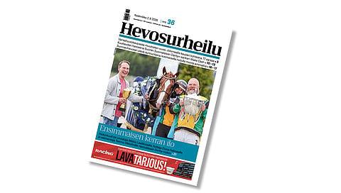 Hevosurheilun kansikuvahevonen on Heikintuuli.