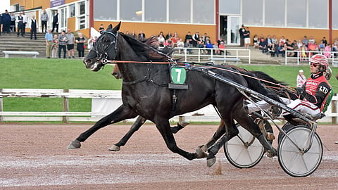 Kajaanin raviradalla ei juostu tänä kesänä totoraveja. Lancelot B.R. kuvassa vauhdissa vuonna 2024.