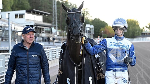 Vivillion kilpaili Ruotsissa ollessaan Daniel Wäjerstenin (kuvassa) valmennuksessa. Kilpauran alussa hevosta valmensi Reijo Liljendahl. Suomessa sitä treenasi Juho Ihamuotila.