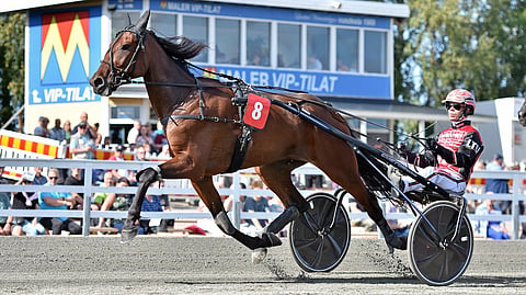 Lämminveriruuna Pappappero rattaillaan Santtu Raitala
