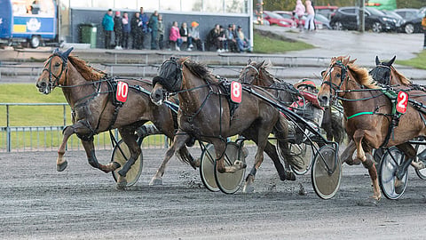 Villinmiehen Tammakilvan kolmannessa karsinnassa nähtiin tiukka kolmikantakamppailu. Jorinna (8) puristi keskeltä parhaiten ja lähtee karsintavoittajana kohti lauantain finaalia. Tara (10) ja Volsuliina (2) pinnistivät samaan maalikameran kuvaan.
