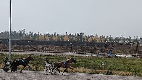 Marian Lukkari ja Safiiri ensimmäisellä takasuoralla. Lukkari ajoi päättäväisesti keulasta.