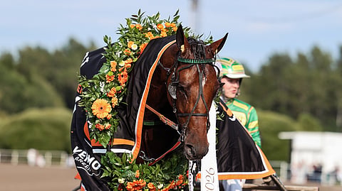 Suomen Make Cash on sukunsa kolmas Derby-voittaja.