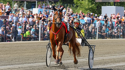 Henri Bollström nähdään jälleen Carun rattailla.