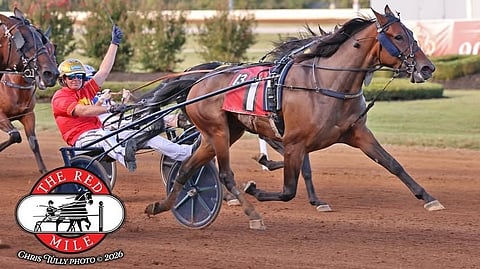 Ravit Björn Goop