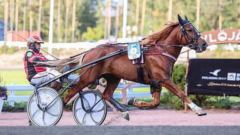 Tapio Perttusen valmentamaa Reipas Suomalaista ajaa Varsakunkun karsinnassa Tino Paldan.