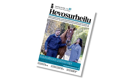Kannen kuvassa Kuukauden hevonen Viksun Cikka. 