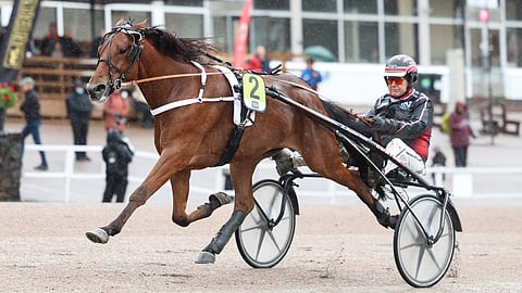 Coriolanus Frido ja Markku Nieminen