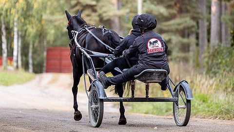 Ravihevosavusteisessa kuntoutuksessa työskennellään esimerkiksi hevosta hoitamalla, varustamalla ja sen kanssa liikkuen, erityisesti tandemkärryiltä.