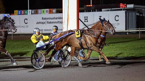Jani Ruotsalaisen valmentama ja ohjastama Wertti on Pohjoismaiden mestari.