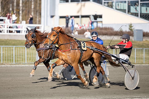 Vappuravit 1.5.2026 Joensuu nro 3 Boscon Visa/Paavo Reponen, 1 Aaltonen/Antti Turunen.
