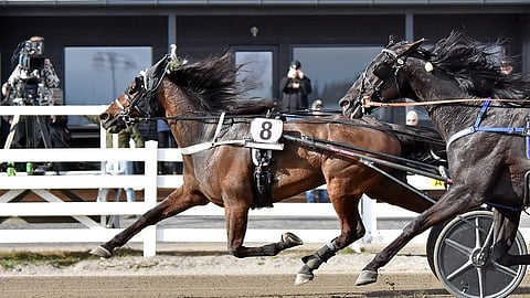 Janita Luttunen Time Match