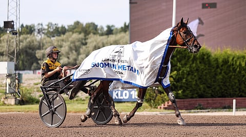 Suomen mestaruuden elokuussa Vermossa vienyt Massimo Hoist on suosikki voittamaan myös St. Legerin – jo kolmannen kerran putkeen.