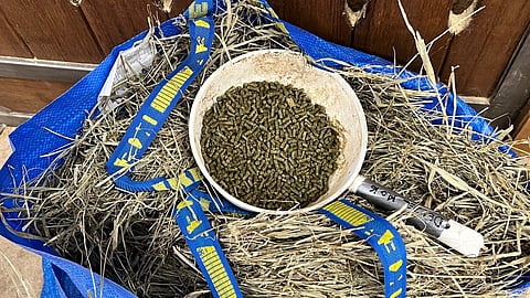 Talliarki on Veera Niemisen uusimman kirjan kantava teema. 