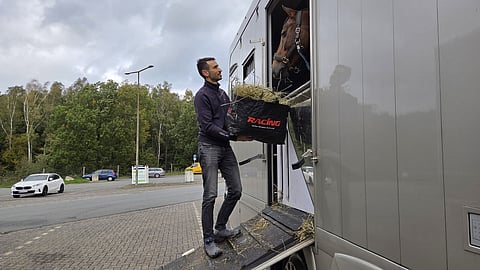 Päiväheinät moottoritien varrella Saksassa. 