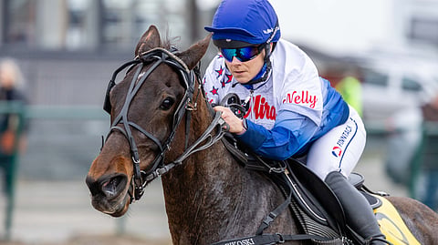 Nelly Korpikoski on ohjastanut urallaan 176 voittoa.
