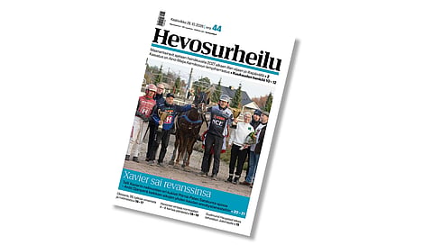 Hevosurheilun kansikuvahevonen on tällä viikolla Satakunta-ajon voittaja Xavier.