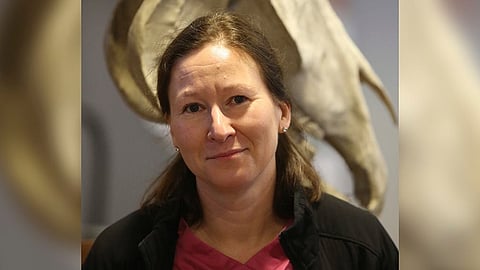 Kati Niinistö siirtyy Suomen Hippokseen Helsingin yliopiston Yliopistollisesta eläinsairaalasta.