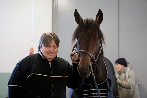 Reima Kuisla ja Your So Vain Tampereen Hevosklinikalla vuonna 2015.