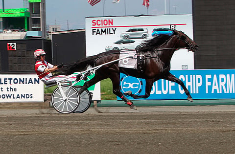 Creatine voitti kaksi vuotta sitten Mike Lachancen ajamana The Hambletonianin karsinnan.