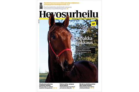 Kuukauden hevosena kipakka pakkaus