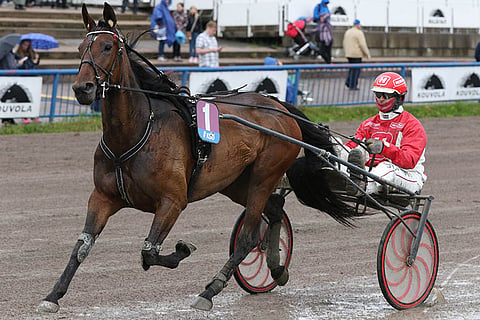 Jarkko Kervinen pyrkii Rosenstolzin kanssa karkuun kovilta takamatkalaisilta.