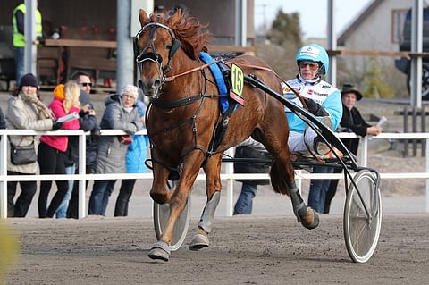 Jokivarren Kunkun komeaa askellusta ja Jorma Kontion työskentelyä rattailla pääsee seuraamaan Elitloppetin kylmäverilähdössä Elitkampenissa. Ennätykset uusiksi?