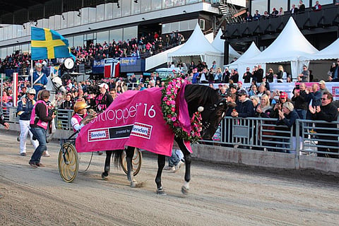 Elitloppet-voittaja Nuncio on UET Trotting Masters-finaalin suuri suosikki.