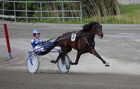 Olli Koivunen pyysi ja Ratu Royale toteutti. Tamma kääntyi loppusuoralle selvässä johdossa ja piti johtoaseman loppuun asti.