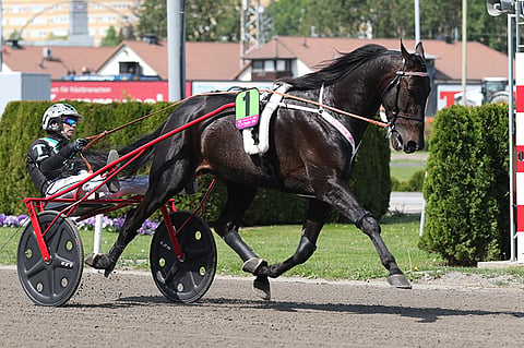 Johnny Takterin ajama Oasis Bi oli neljäs Elitloppet-finaalissa 2016. (Kuva: HU arkisto/Jarno Unkuri)