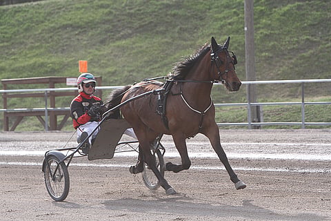 Lappeen Raviliigan Oberon on mainio ideavarma Linnunlahden Toto4-peliin.