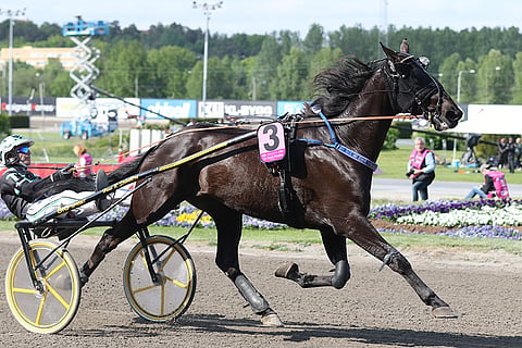On Track Piraten kilpailee edelleen Ruotsin huipuilla kunnioitettavasta 13 vuoden iästä huolimatta.