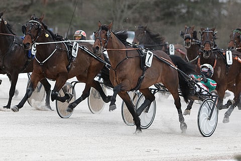 Good Dynamite hallitsi Toto76-rivin avauskohdetta maaliin asti.