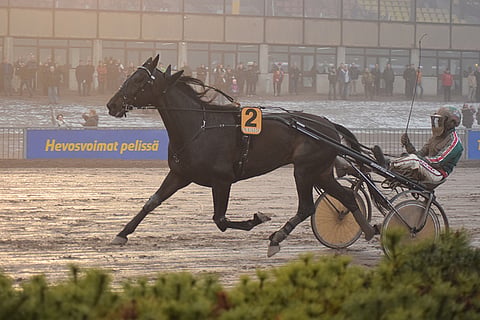 Seabiscuit oli pysäyttämätön Helsinki-ajossa.