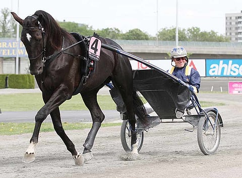 Nuncio on jälleen voittokunnossa. Kuva: Jarno Unkuri