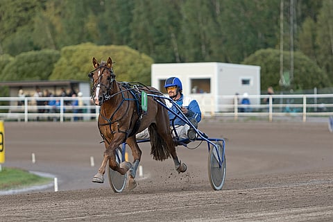 Välähdys on Mikkelin Toto5-kierroksen päävarma.