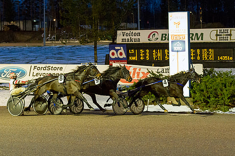 Fine By Me (4) piti Mountain Cleaverin (9) ja Yahuu Hossin (8) takanaan Teivossa viime joulukuussa.