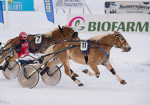Santtu Raitalan ajokki Pikku-Ryti oli lyömätön Toto76-avauskohteessa. 