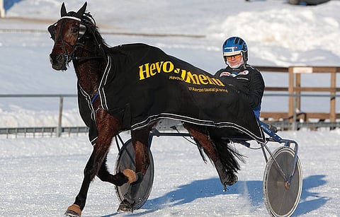 Samuli Innasen kuskaama Jack Vader voitti Hevosurheilu -lähdön Lappeessa.